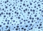 Preview: Läufigkeitshose - Blümchen rot - Kopie - Kopie - Kopie - Kopie - Kopie - Kopie - Kopie